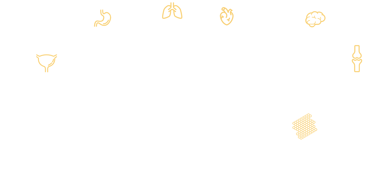 Newborn illustration showing Menkes disease symptoms and affected organs